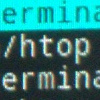 htop in two weston-terminals